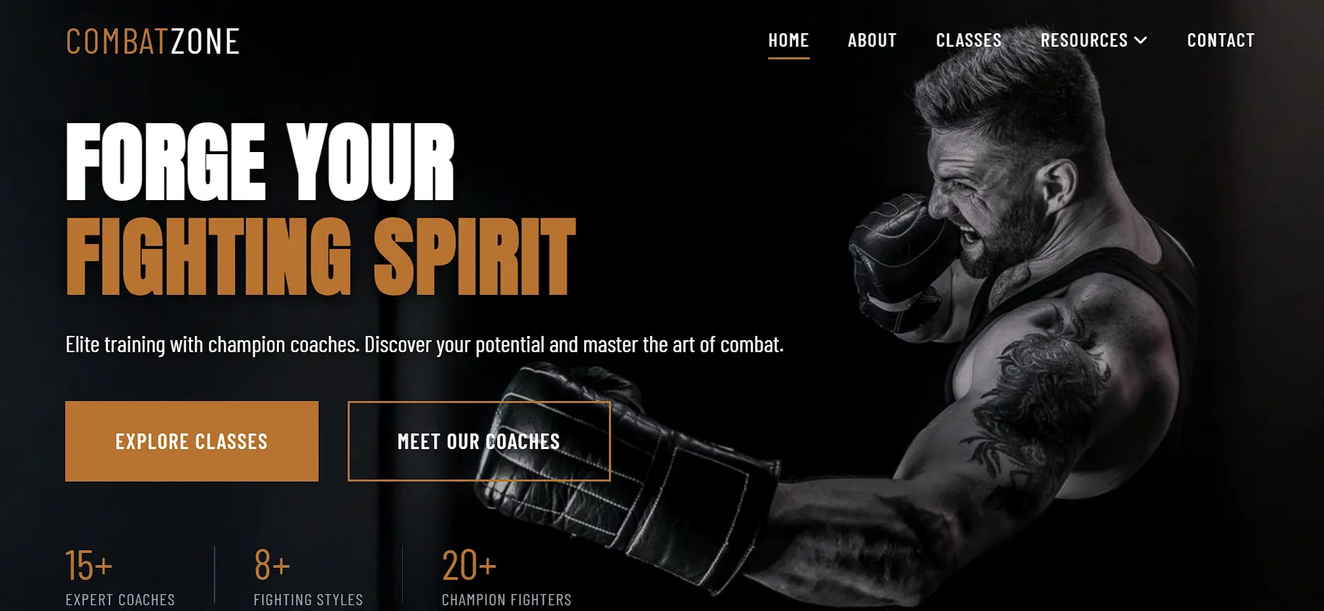 Combat Zone - Project screenshot