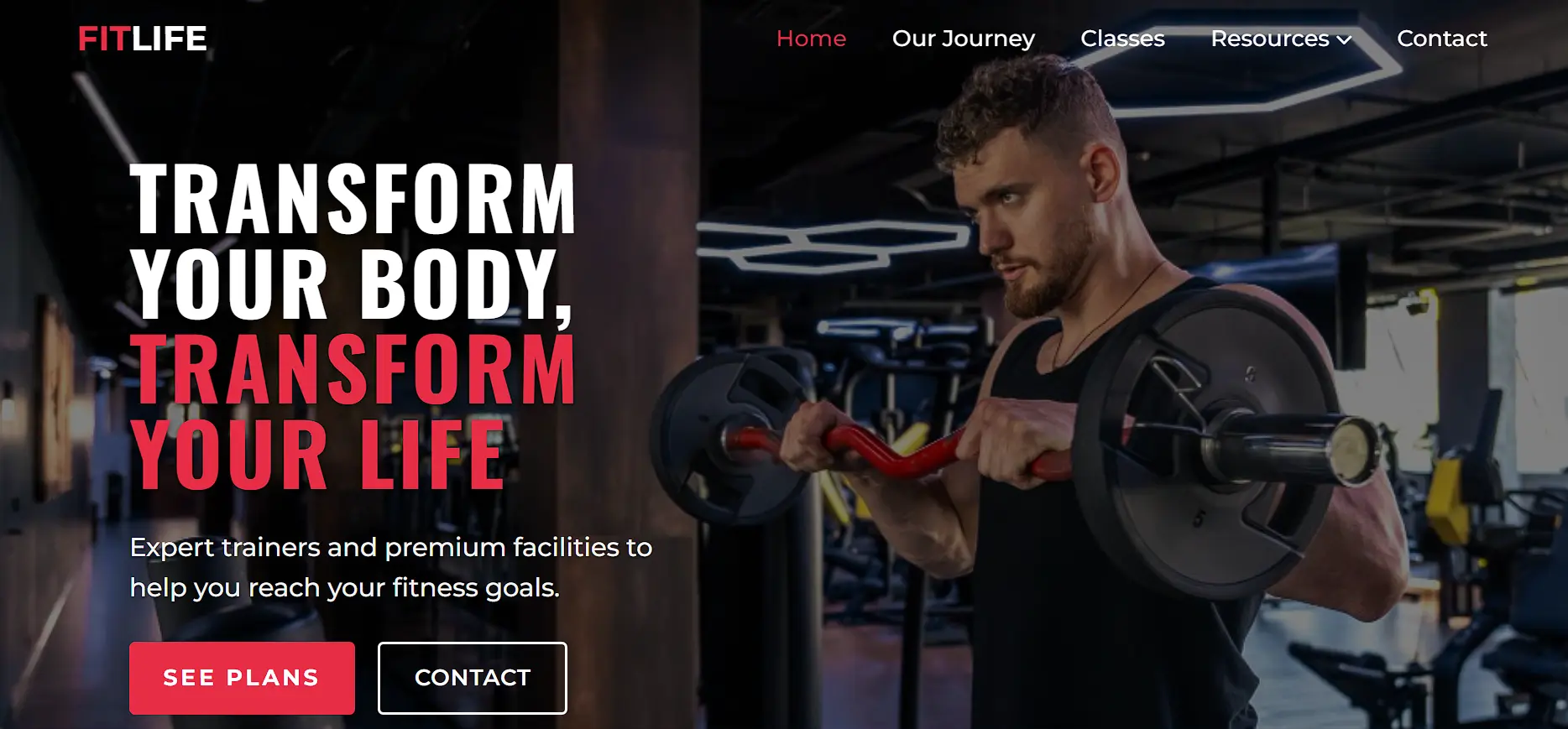 Fit Life Gym - Boxing gym website project screenshot